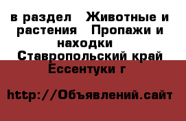  в раздел : Животные и растения » Пропажи и находки . Ставропольский край,Ессентуки г.